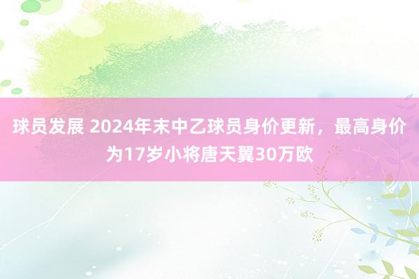 球员发展 2024年末中乙球员身价更新，最高身价为17岁小将唐天翼30万欧