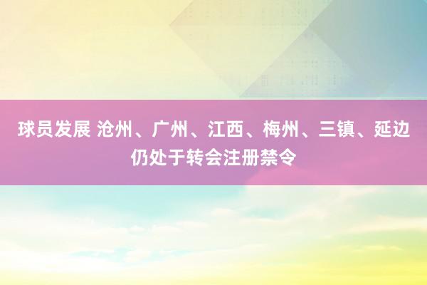 球员发展 沧州、广州、江西、梅州、三镇、延边仍处于转会注册禁令