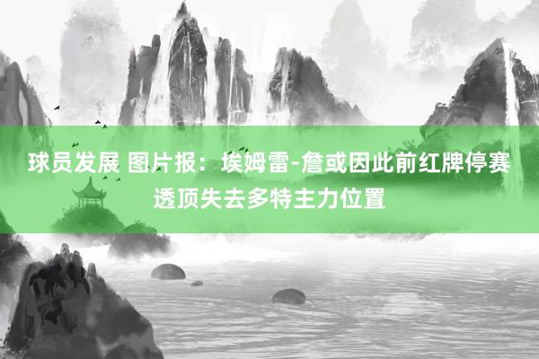 球员发展 图片报：埃姆雷-詹或因此前红牌停赛透顶失去多特主力位置