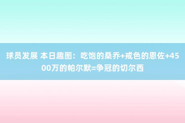 球员发展 本日趣图：吃饱的桑乔+戒色的恩佐+4500万的帕尔默=争冠的切尔西