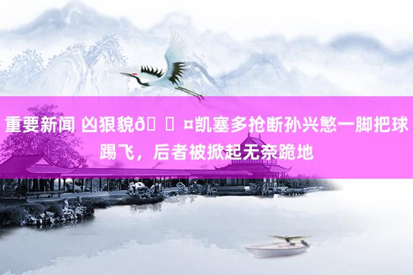 重要新闻 凶狠貌😤凯塞多抢断孙兴慜一脚把球踢飞，后者被掀起无奈跪地