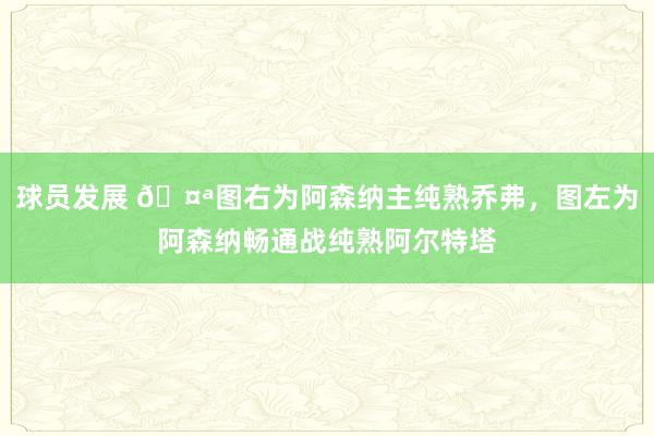 球员发展 🤪图右为阿森纳主纯熟乔弗，图左为阿森纳畅通战纯熟阿尔特塔