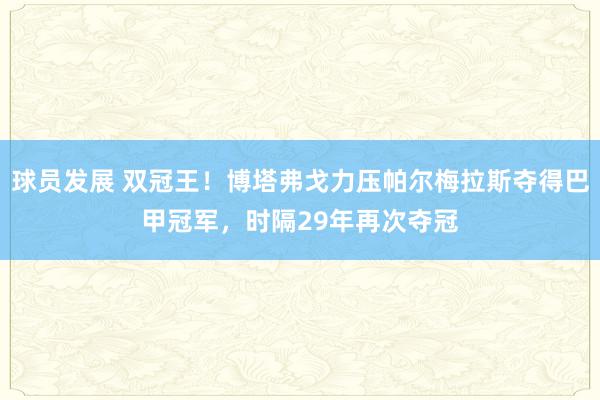 球员发展 双冠王！博塔弗戈力压帕尔梅拉斯夺得巴甲冠军，时隔29年再次夺冠