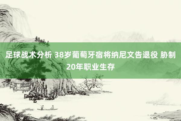 足球战术分析 38岁葡萄牙宿将纳尼文告退役 胁制20年职业生存